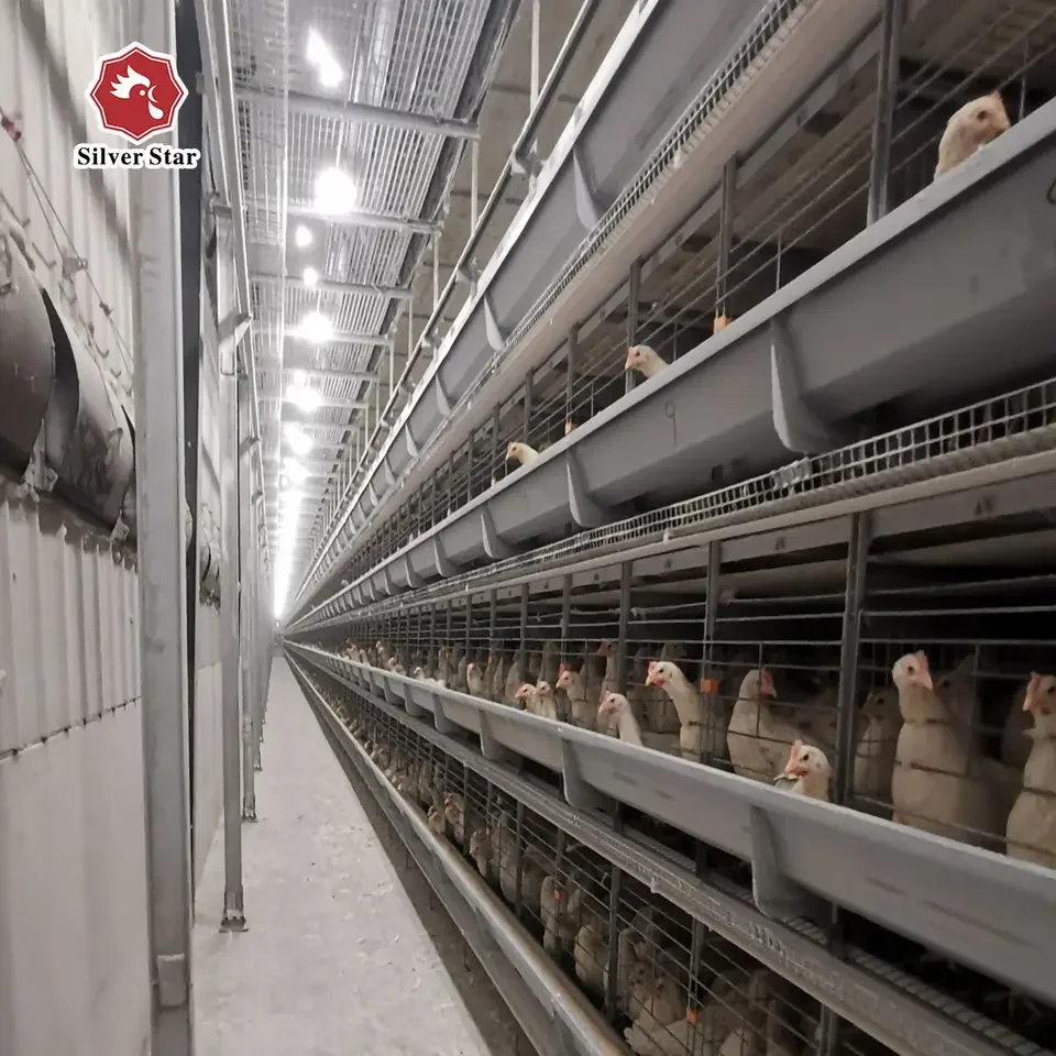 Chicken cage automation equipment wet curtain cooling and humidifying air