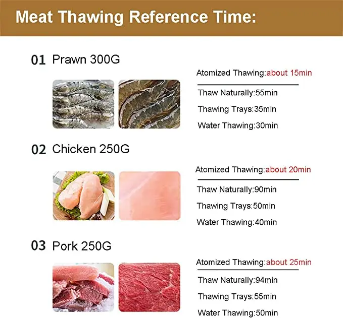 2023 Hot Selling 2 in 1 Defrosting Tray Thawing Household Defrosting Box for Frozen Meat, Chicken, Fish, Steak