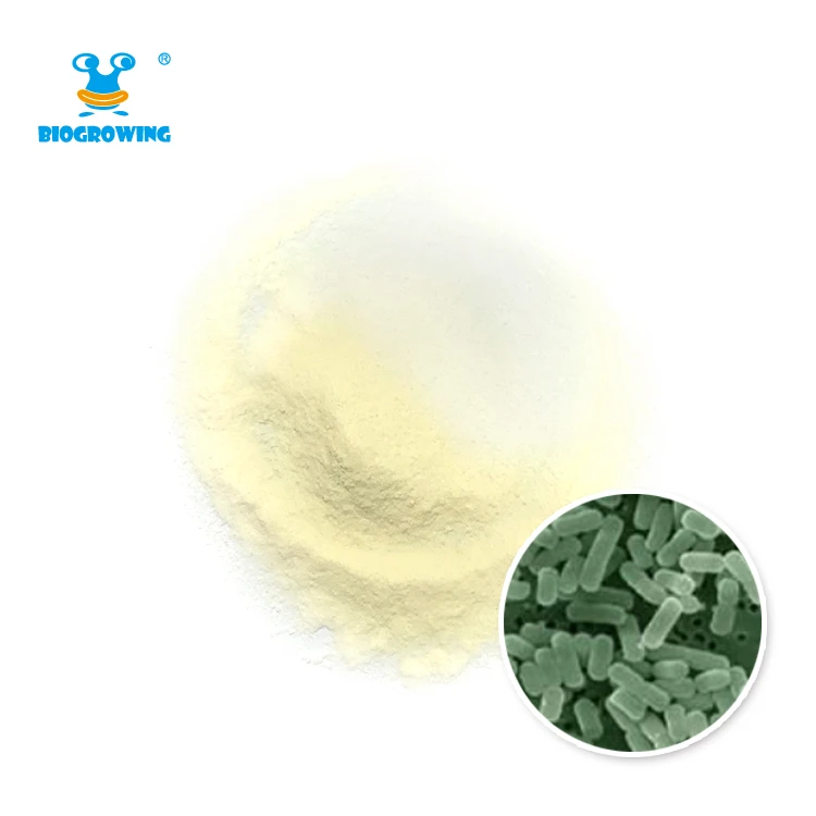 Заводская цена, пробиотики, пробиотики оптом, пробиотики в порошке, бактерии молочной кислоты Lactobacillus delbrueckii