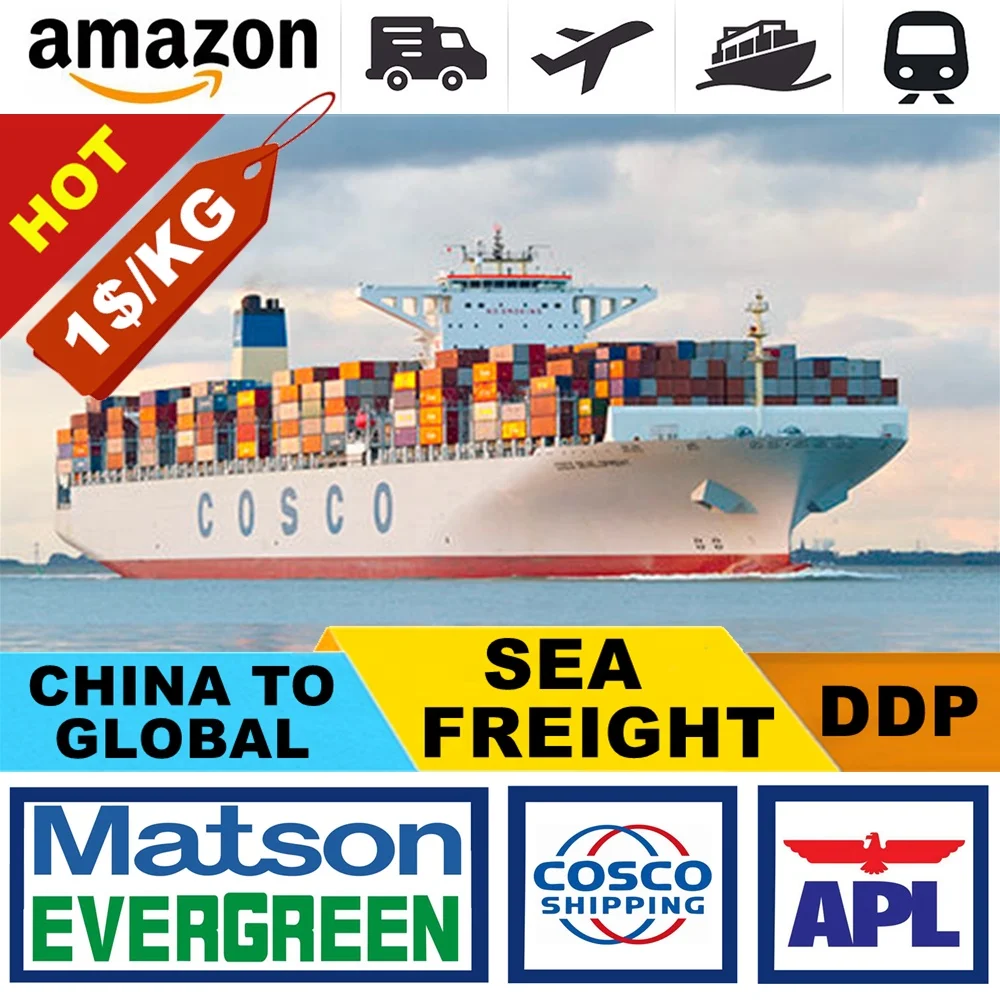 Sea Cargo Freight Forwarder Of DDP Door To Door Service Help Customer To Transports Battery By Special route From China To USA