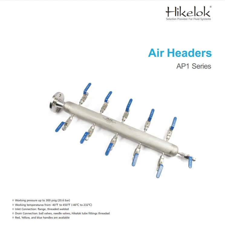 316 stainless steel Sch 40 pipe 3/4' 1' NPT 4/6/8/10 outlets air headers gas distribution manifolds with ball valve