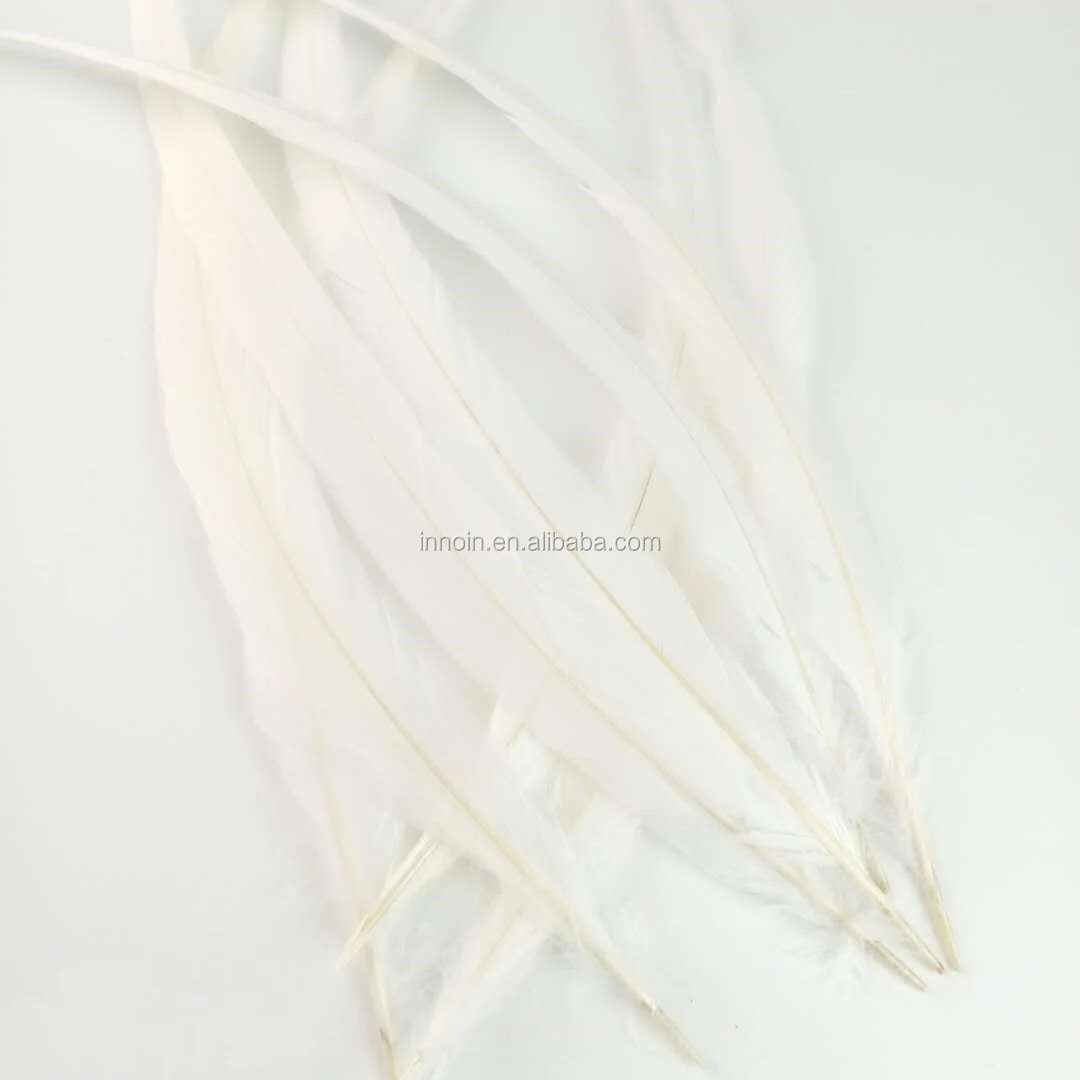 
Cheap 40-45cm DIY Custom White Color Rooster Feather For Decoration 