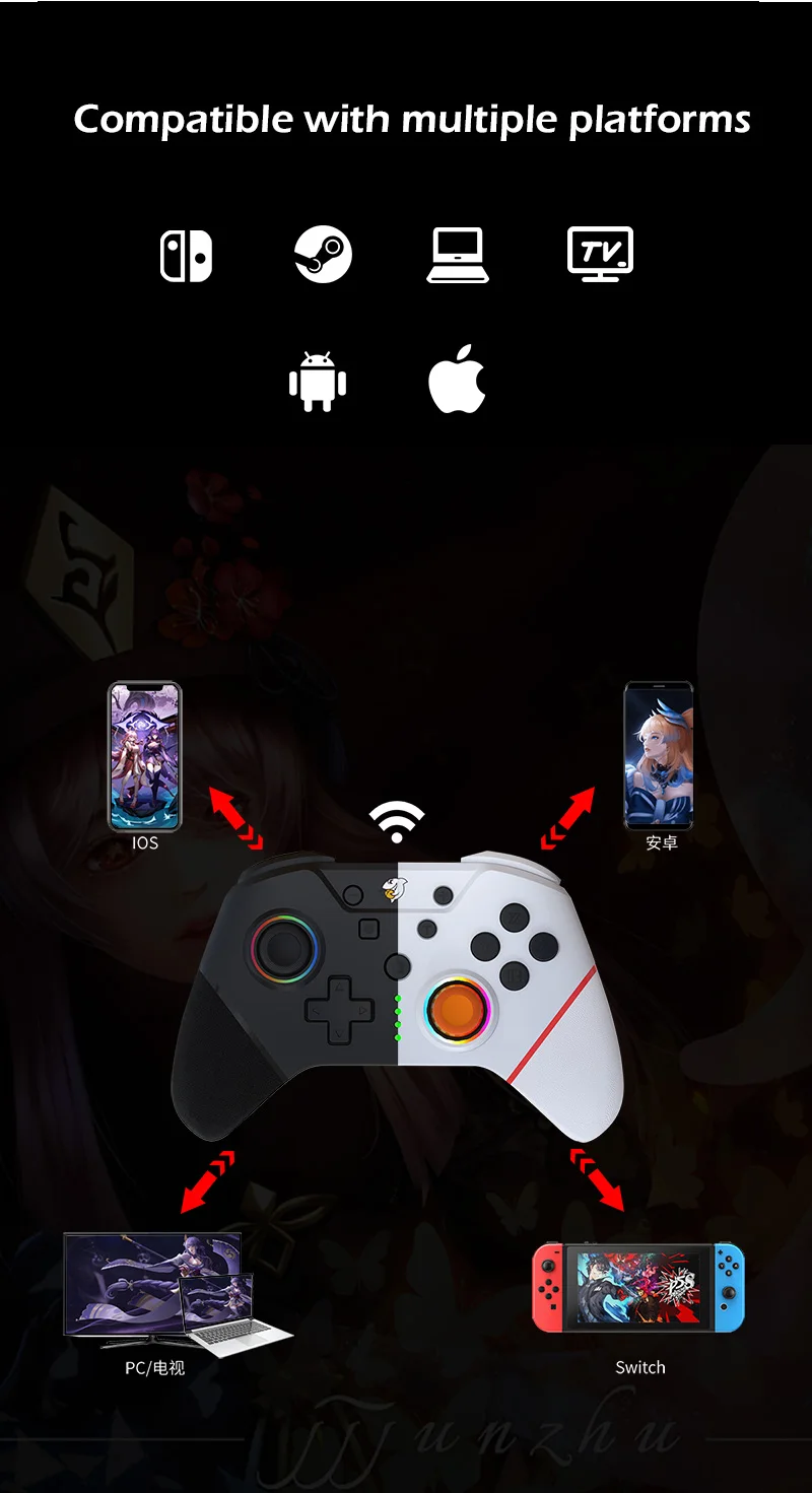 DOUYU DG160 Gamepad Wholesale Multi-function Wireless Game Controller Joystick Gamepad