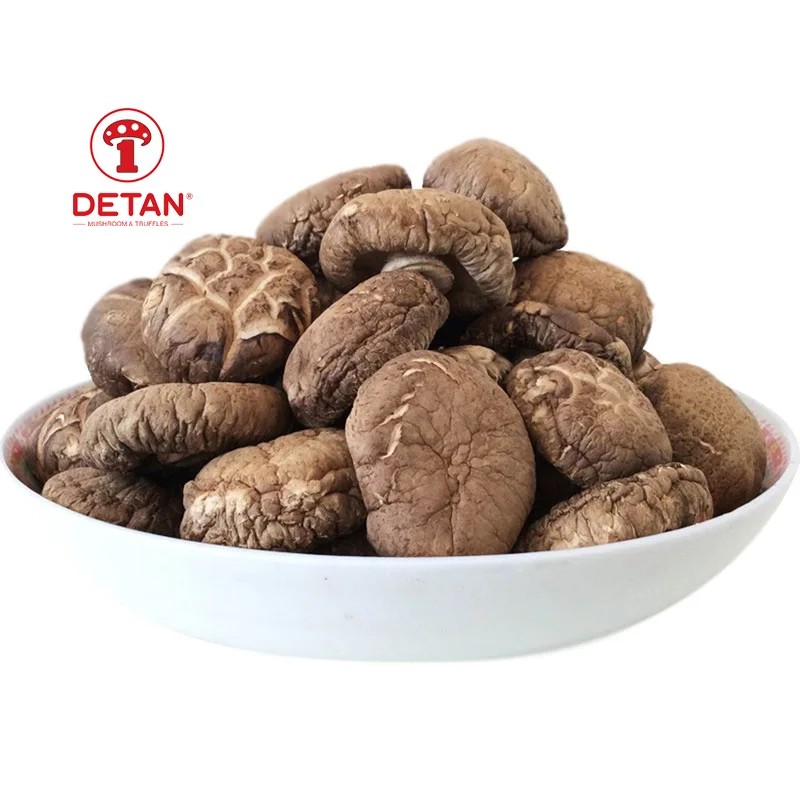 DETAN wholesale dry shiitake mushroom