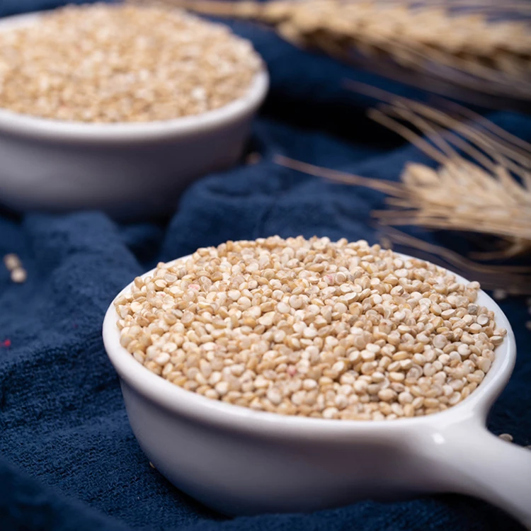  Прямая поставка семян тибетского Quinoa Grain органические