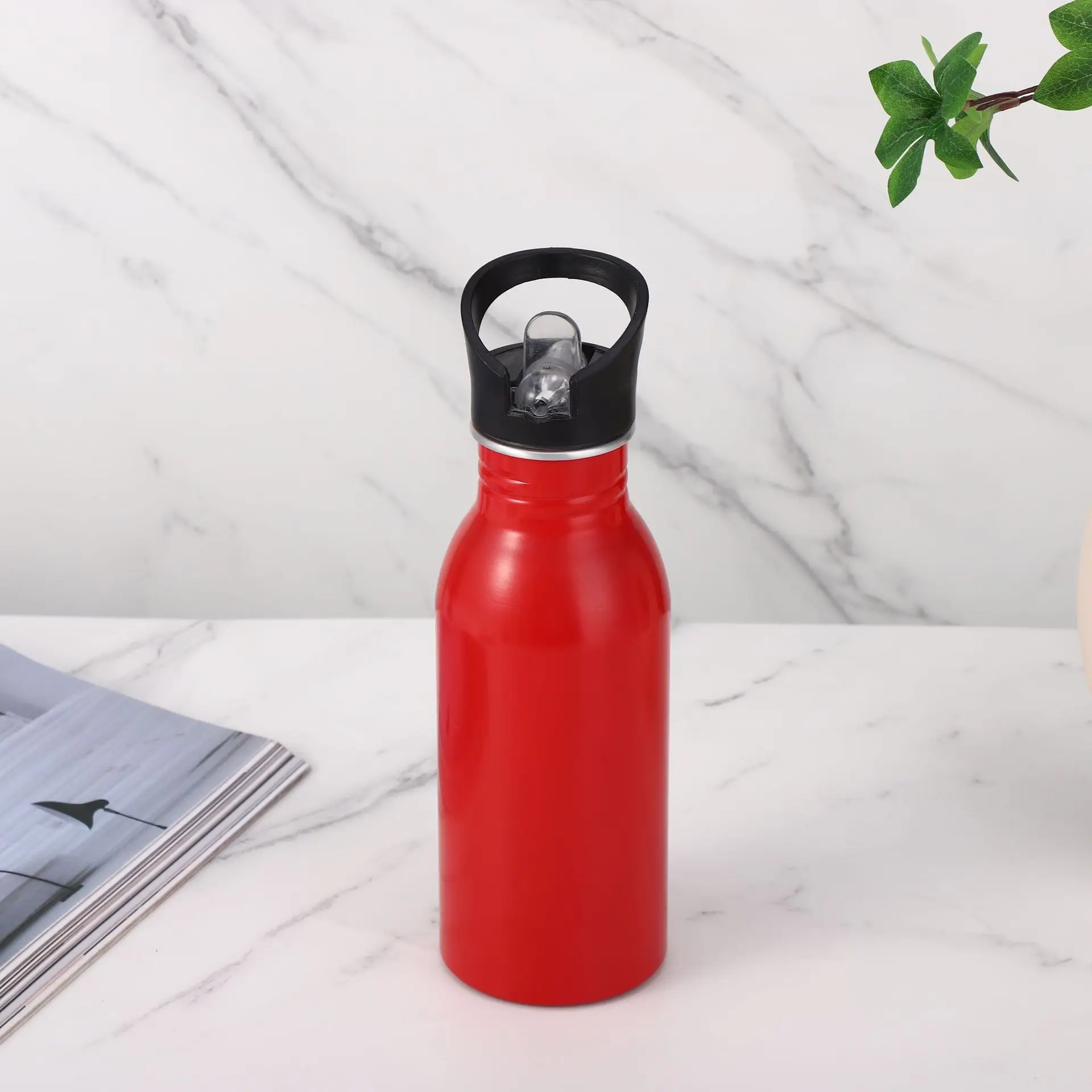 Bpa Free 500 ml 750 ml High Quality Outdoor Sport Aluminum Water Bottle With Carabiner