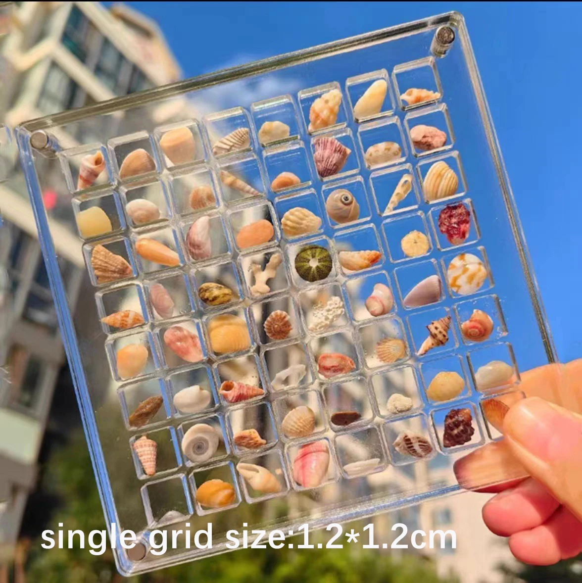 32&64&100 Grids Magnetic Seashell Display Storage Box Diamond Gemstone Beads Organizer Acrylic Transparent Jewelry Collector