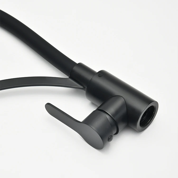 SANIPRO Black 360 Degree Rotation 304 Stainless Steel Hot and Cold Mixer Faucet Pull-out Kitchen Sink Water Tap