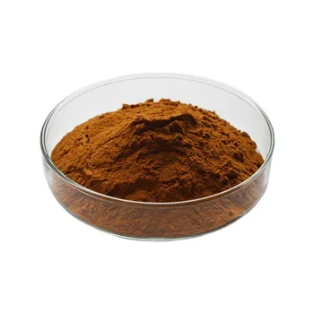Best Organic Red Reishi Mushroom Extract Spore Powder Supplement Ganoderma Lucidum Extract