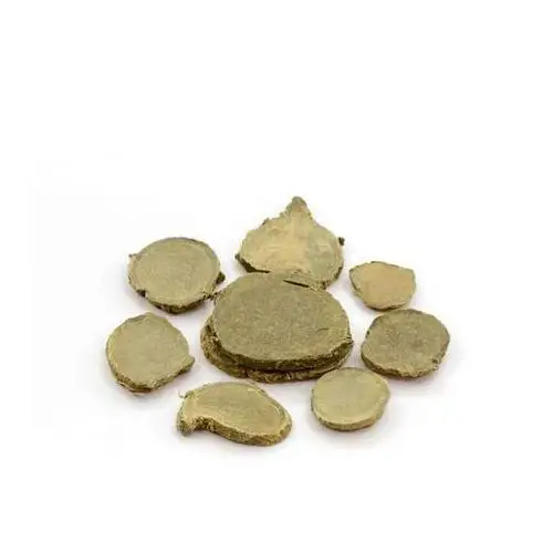 High Quality Sand Ginger / Rhizoma Kaempferiae / Zedoary Root Powder
