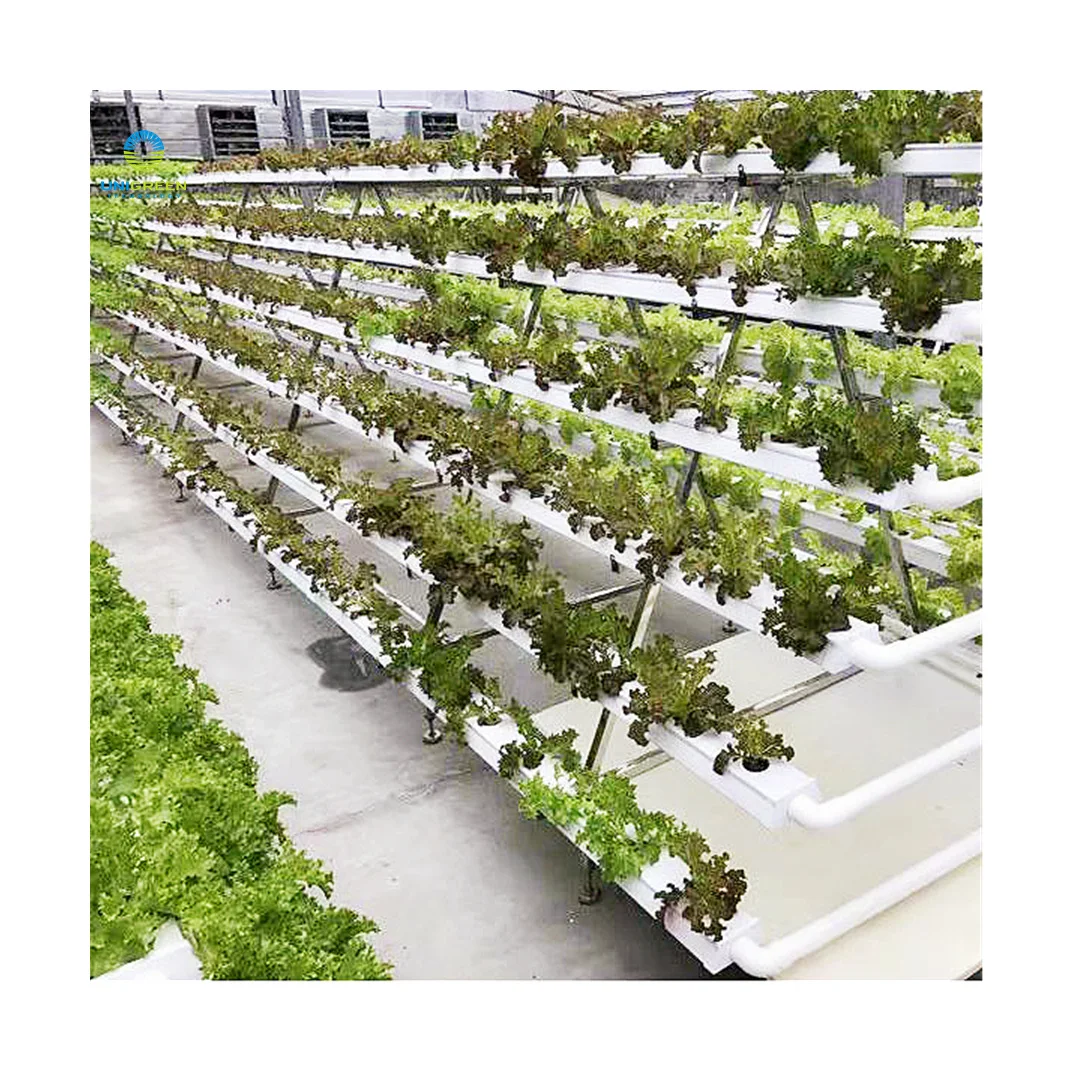 Система гидропонного выращивания 100x50 мм