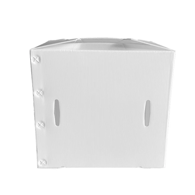 Wholesale Recyclable Foldable Coroplast Storage Polypropylene Plastic PP Corrugated Sheet Box for Products Packaging