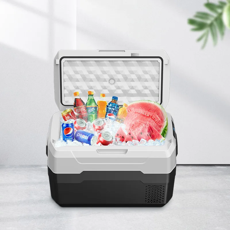 WAYCOOL AXR30 30L 12V/24V/AC100~240V  Compressor Car Freezer Refrigerator with CE CB SAA Certificates for Camping Outdoor