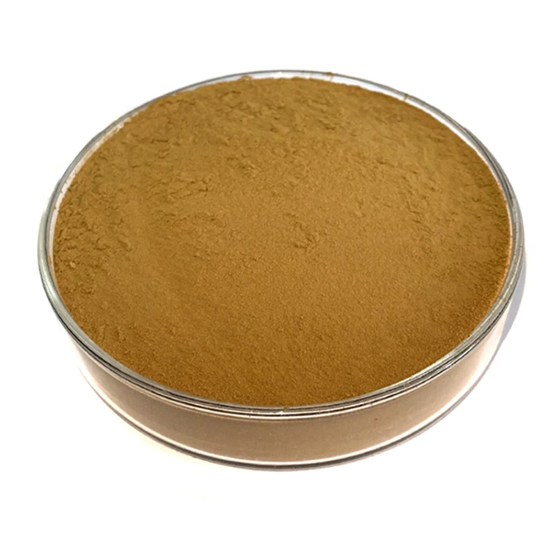 
100% pure natural Onion extract 100% pure Quercetin 95% powder 