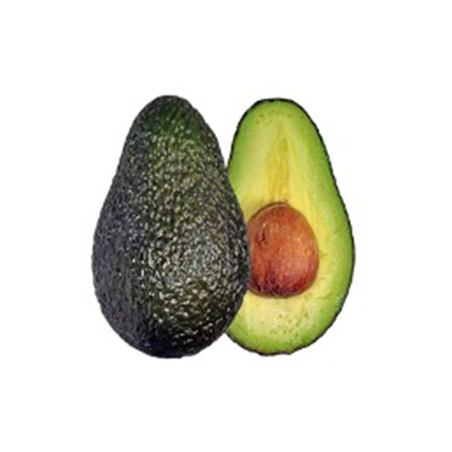 Fresh Premium Avocado From Mexico Processing Plant - High Quality, Best Price, Directly From Producers