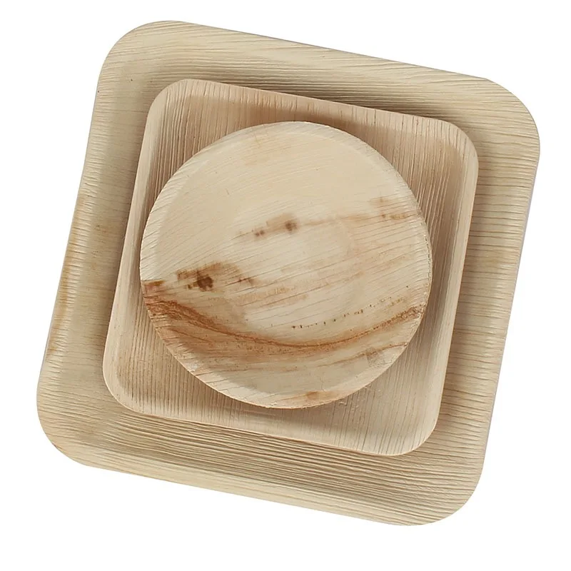 Disposable Biodegradable Palm Leaf Tray with Fork Knife, Natural Areca Palm Leaf Plates Round Square Set