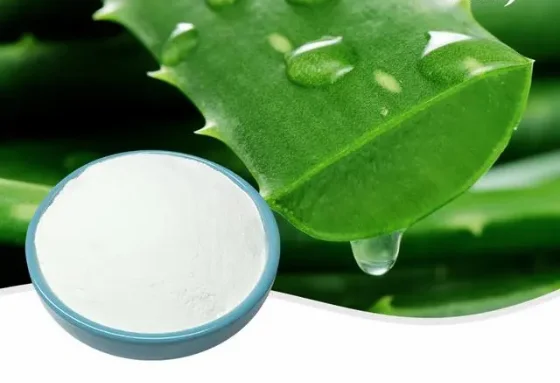 South Africa Skin Conditioner 95%  Aloe Emodin Aloin Aloesin Aloe Vera Gel Africa Cape Aloe Extract  For Beauty
