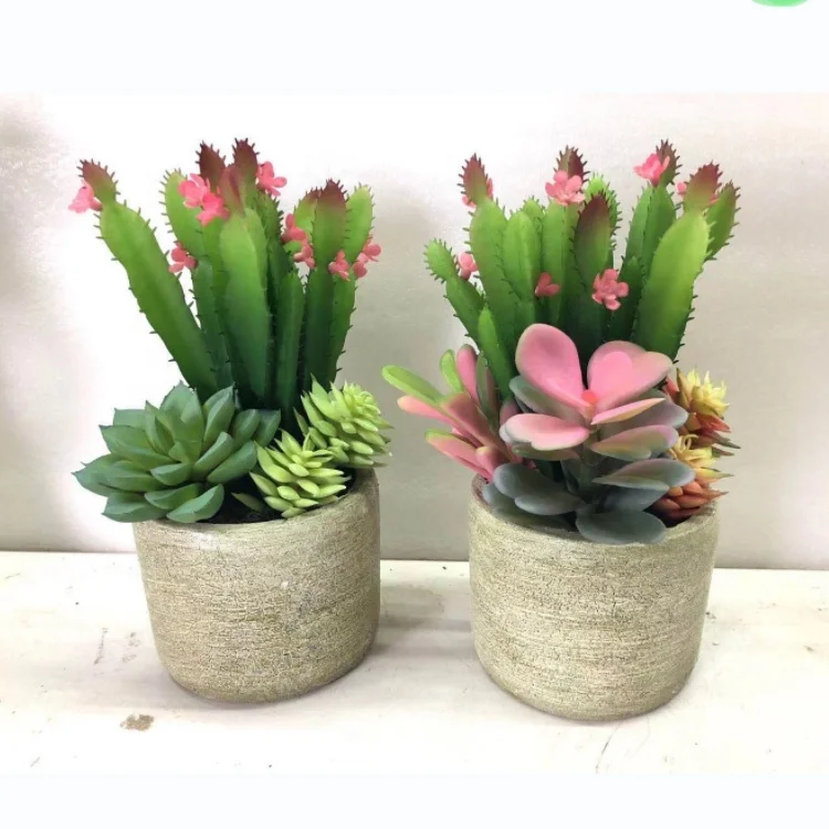 Artificial jade plant succulent plants flowers mini potted succulent in ceramic cubes tabletop a suppliers