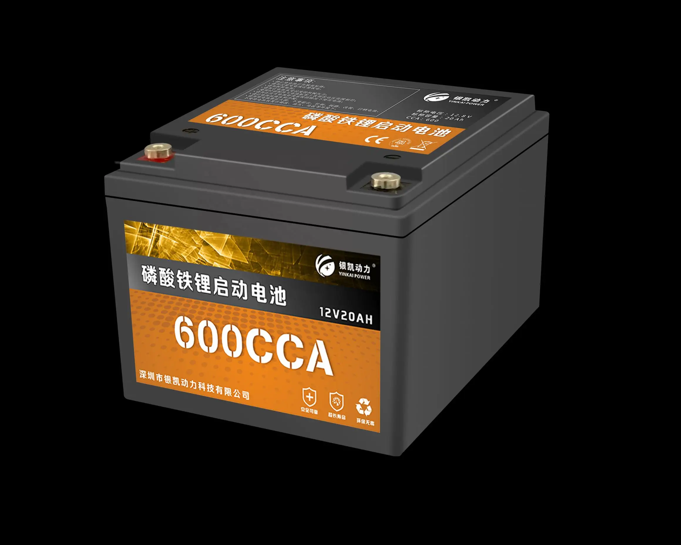 LSY Rechargeable 12 volt Lithium car starter battery 1200CCA  lifepo4 12v 40ah car battery