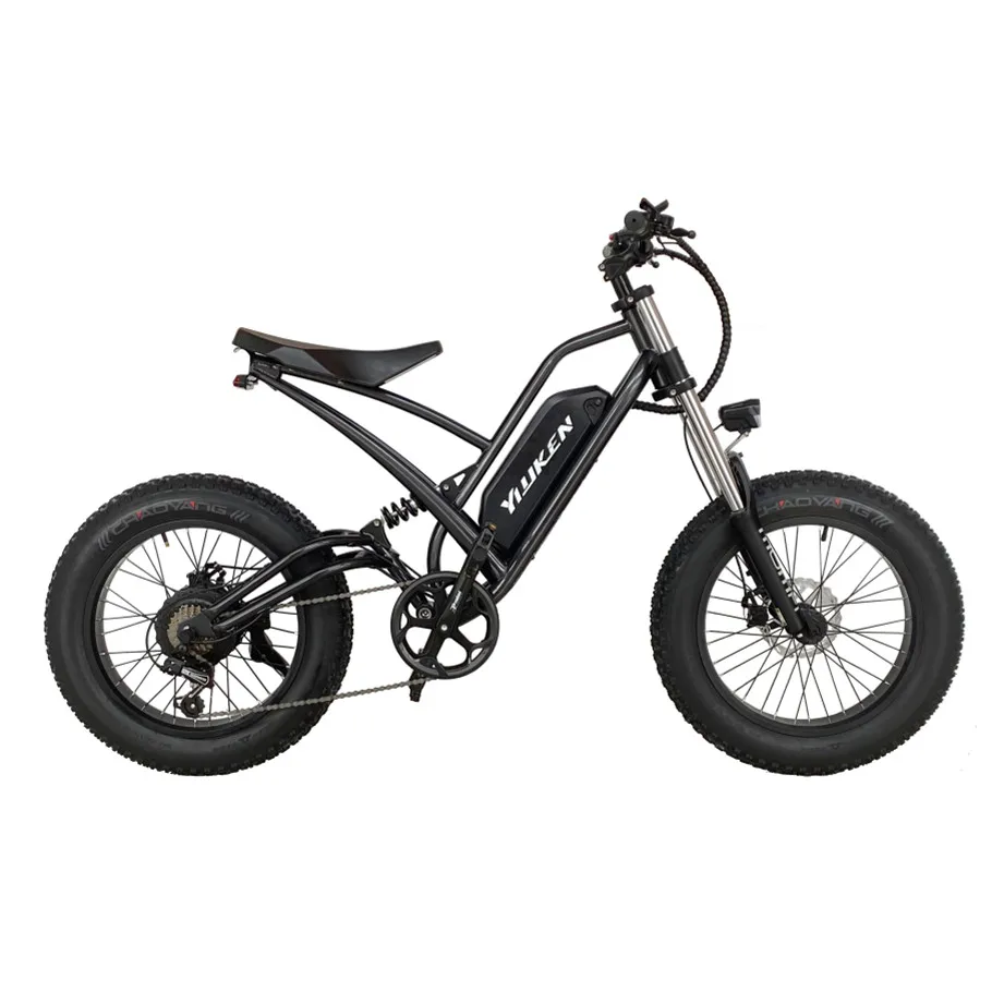 750W HIGH PERFORMANCE ELECTRIC BIKE