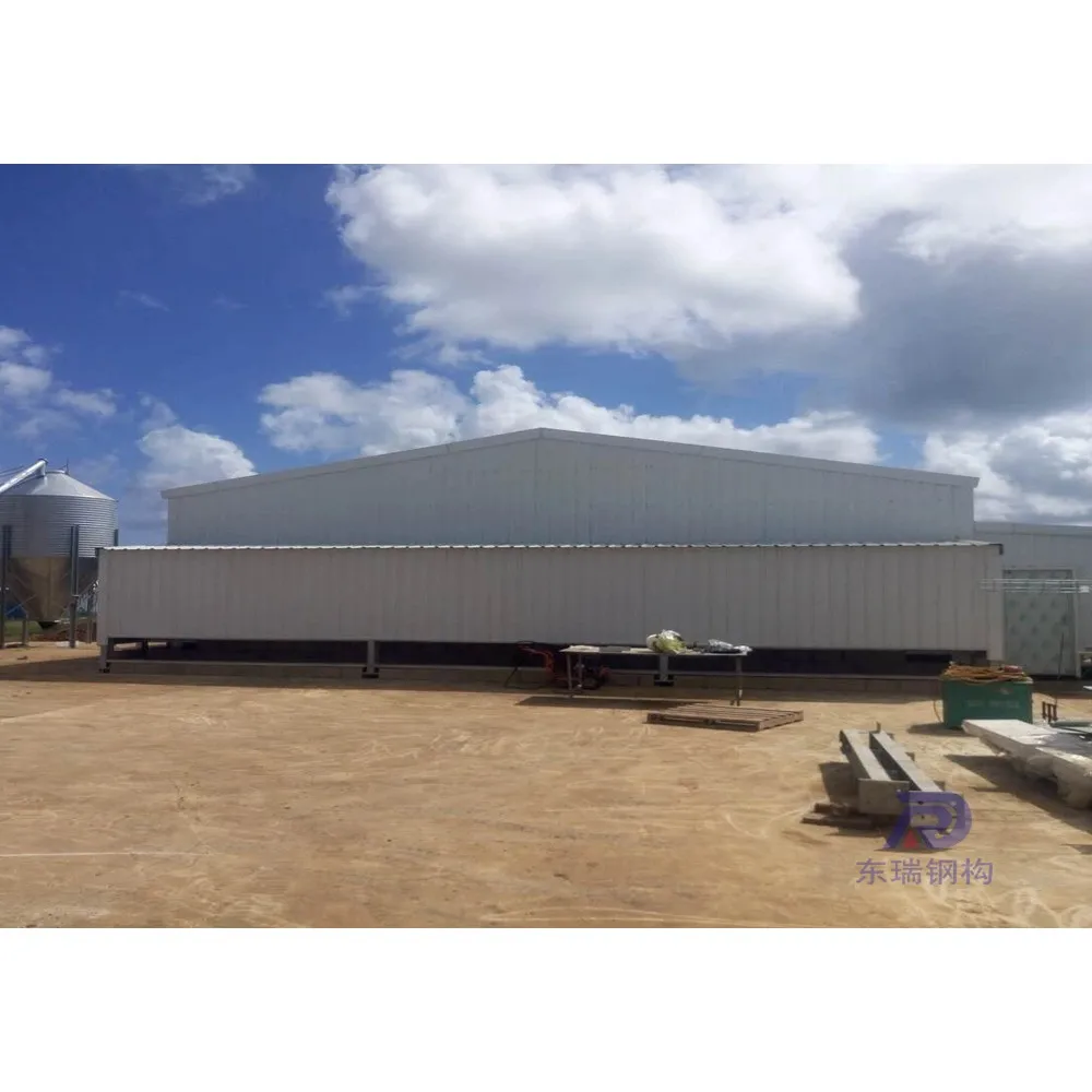 simple design steel structure sheep goat farming building in Australia