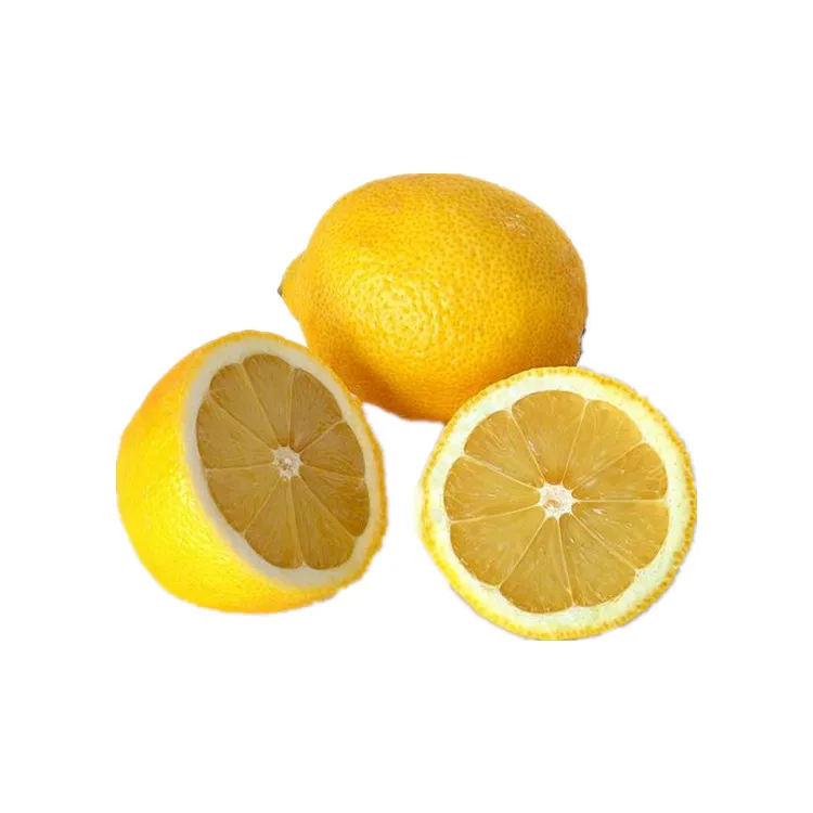 Specifications Of Bulk Cheap New Fresh Lemon Fruit Fresh
