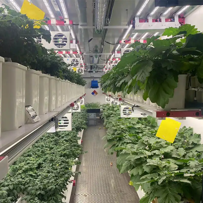 aeroponic shipping container grow garden