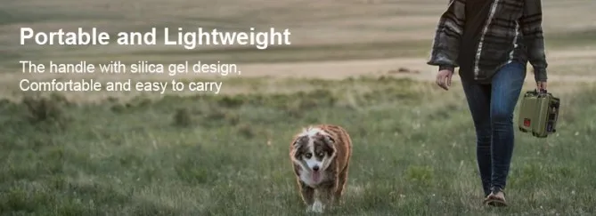 300W AND 600W PORTABLE.JPG