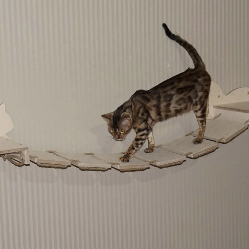 
2021Manufacturer New Products Bridge Furniture Bed Mount Post Hammock Floating Pet Wood Wall Cat Shelf 