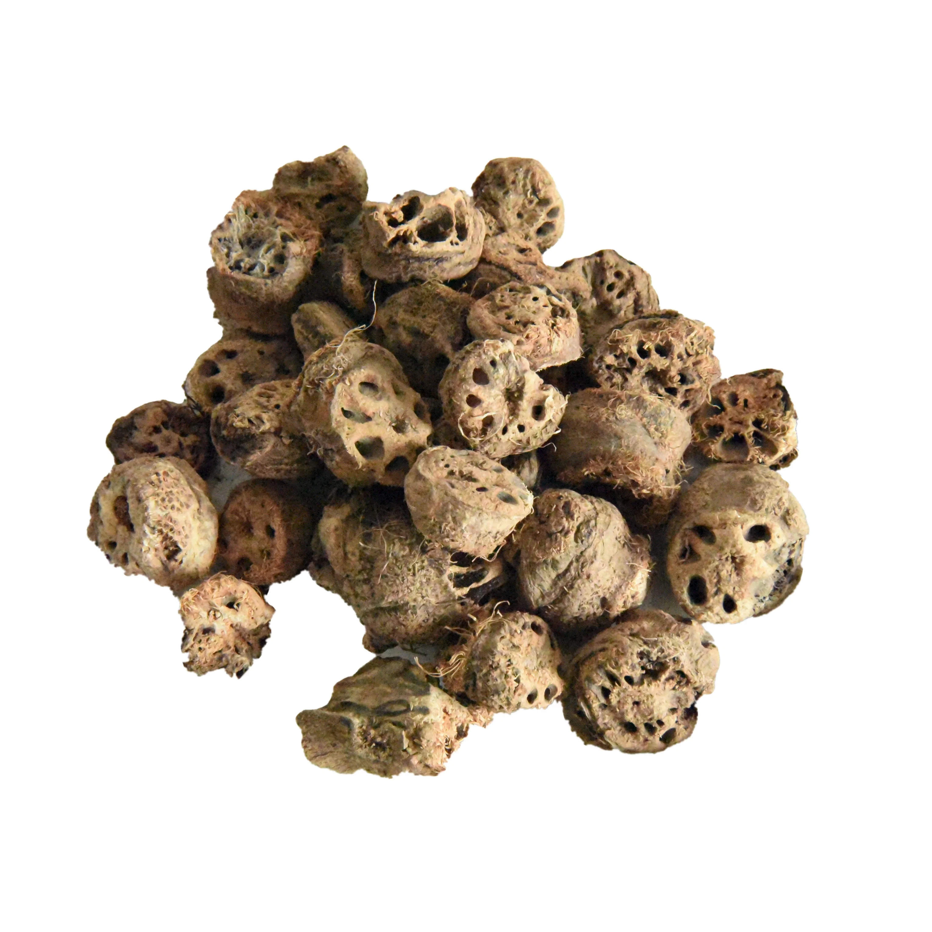 
Chinese Supplier Oujie NELUMBINIS RHIZOMATIS NODUS Nelumbo nucifera crude herbs oujie 