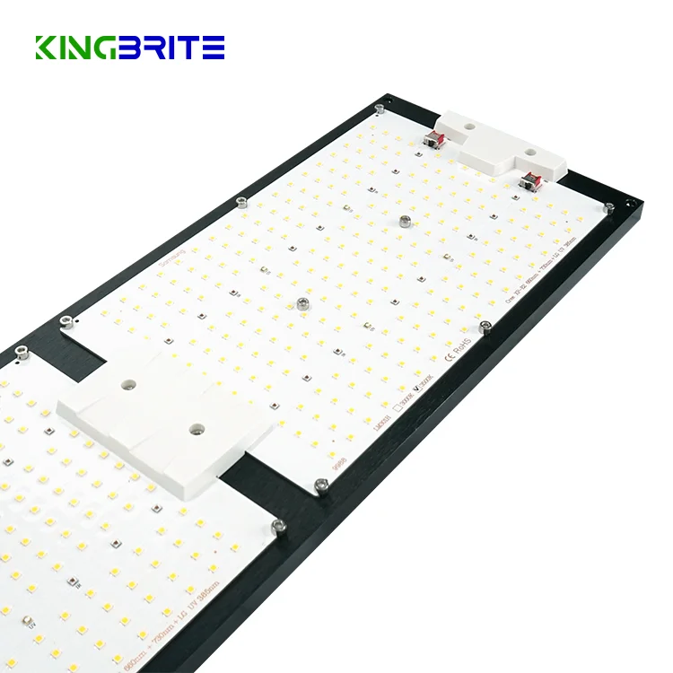  Король brite 2021 новейший водонепроницаемый led grow light 320W LM301H CREE XP-E2 660NM с УФ-фильтром IR