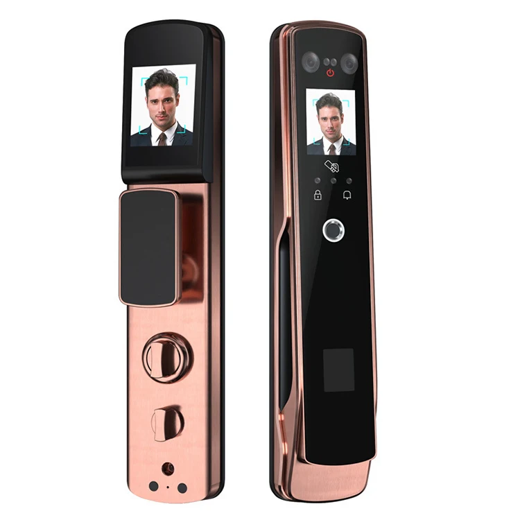 2021 Hot Sell High Security Fully Automatic Convenient Classic Fingerprint Electronic Face Recognition Door Lock Smart
