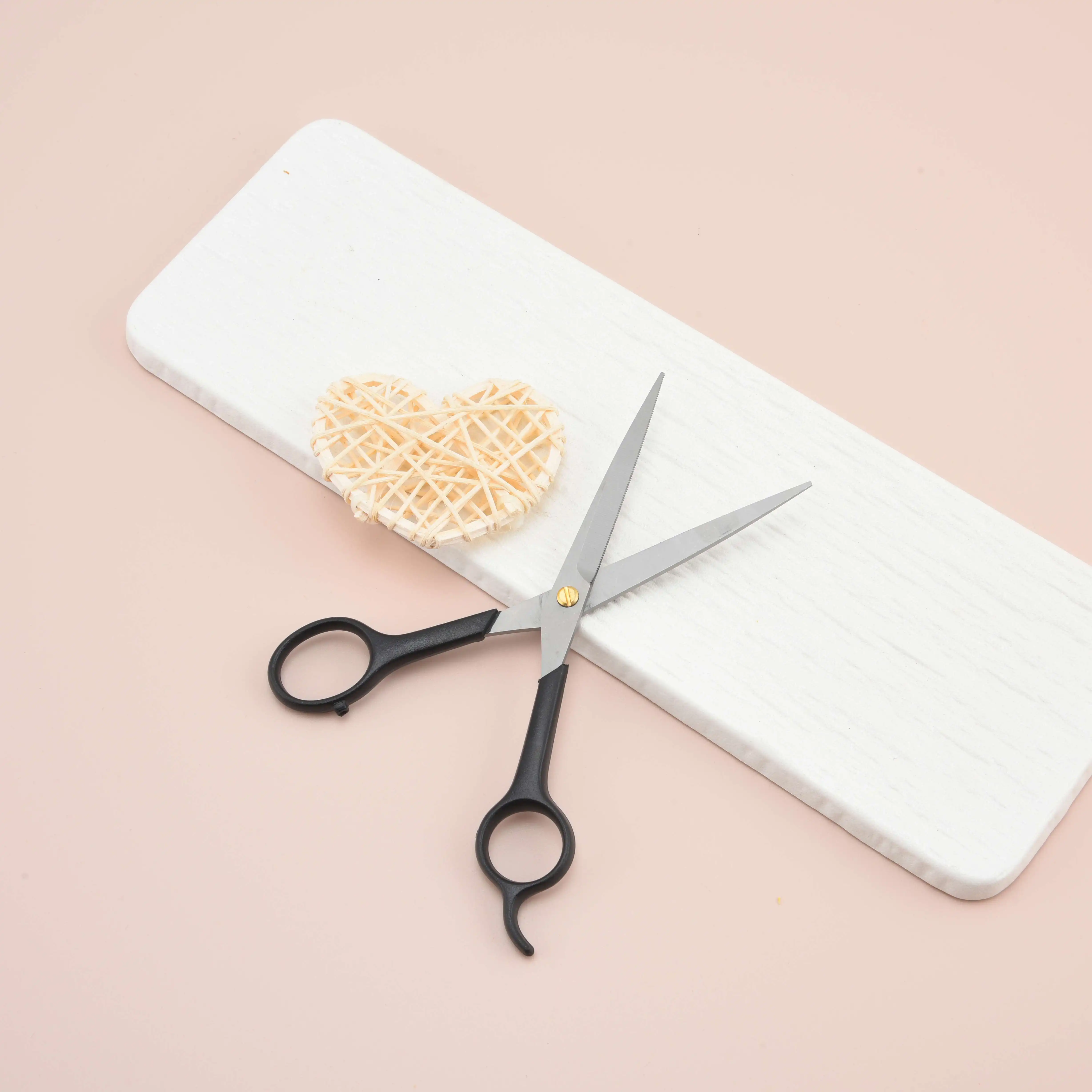 High Quality Stainless Steel Home Salon Haircut Barber Scissors With Abs Handle