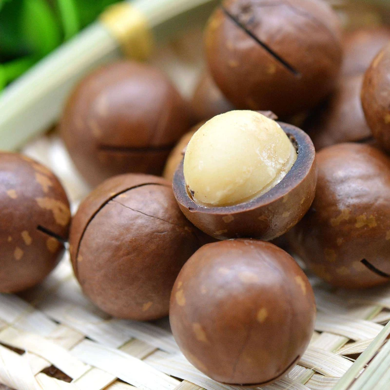 China Manufacture Quality Macadamia Kernels For Exporting