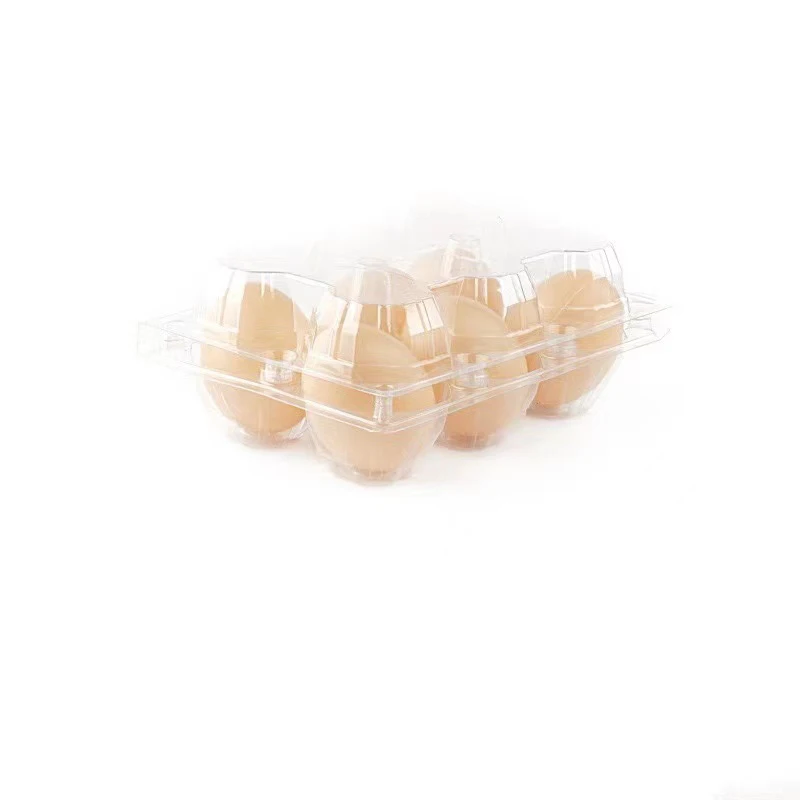 Empty Transparent Disposable Plastic Egg Packaging Box With 4/6/8/10/12 Holes DIY Home Decor