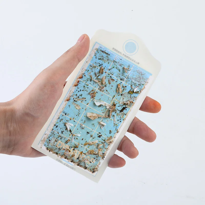 Wholesale Price Most Popular Home ABS Plastic Automatic Electric Fly Trap Catcher