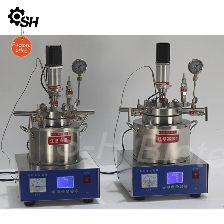 100ml Stainless Steel Magnetic Stirred High Pressure Chemical Reactor