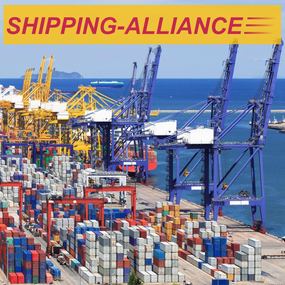 Sea Freight (Ocean Shipping,Sea transportation,Container ) from China to Niger:  Niamey  Zinder   Maradi