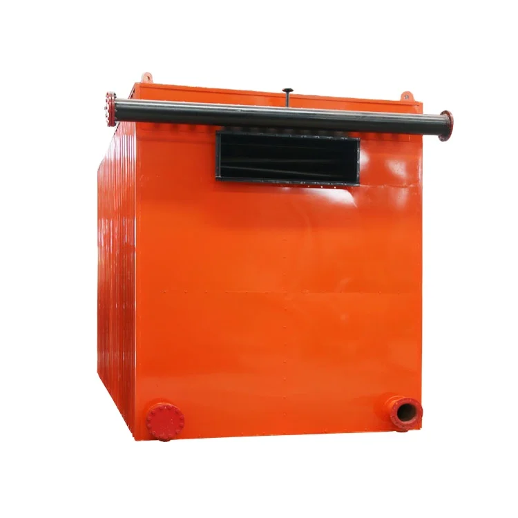 Biomass Pellet Fired Coin Design Thermal oil boiler for Wood Processing