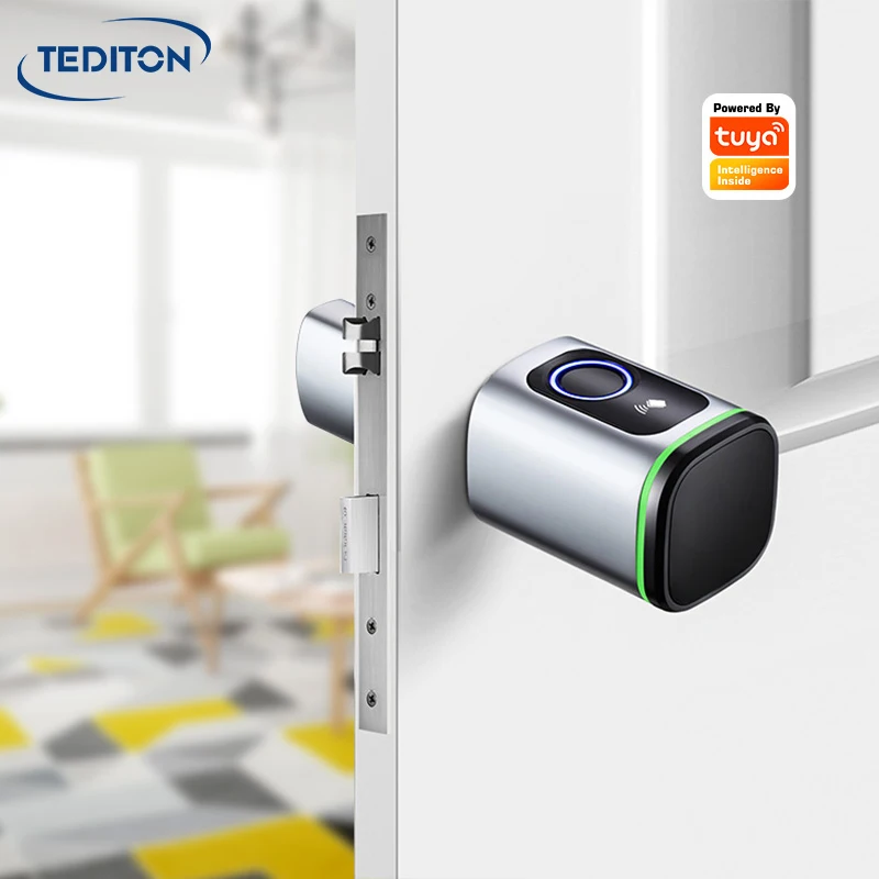 Tediton Tuya APP Remote Unlock Digital Biometric Smart Door Lock Cylinder for Home Apartme