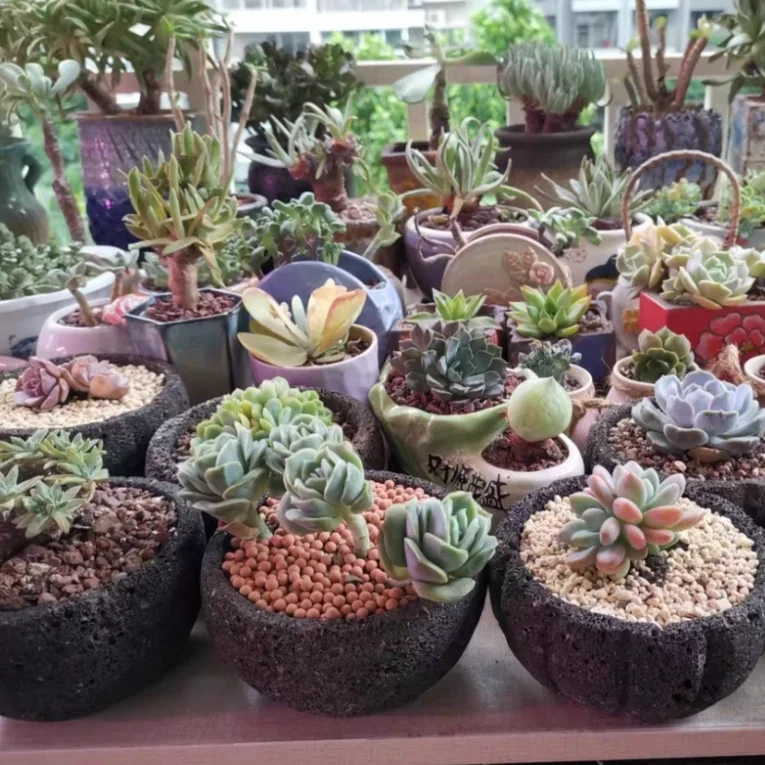 Hot Sale Rock pumice basalt stone lava Stone flower Port