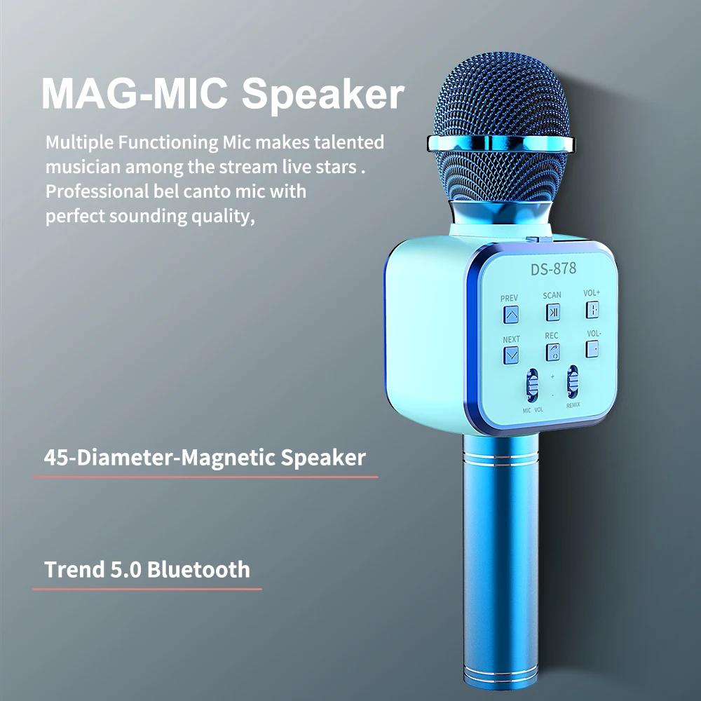bm 800 microphone