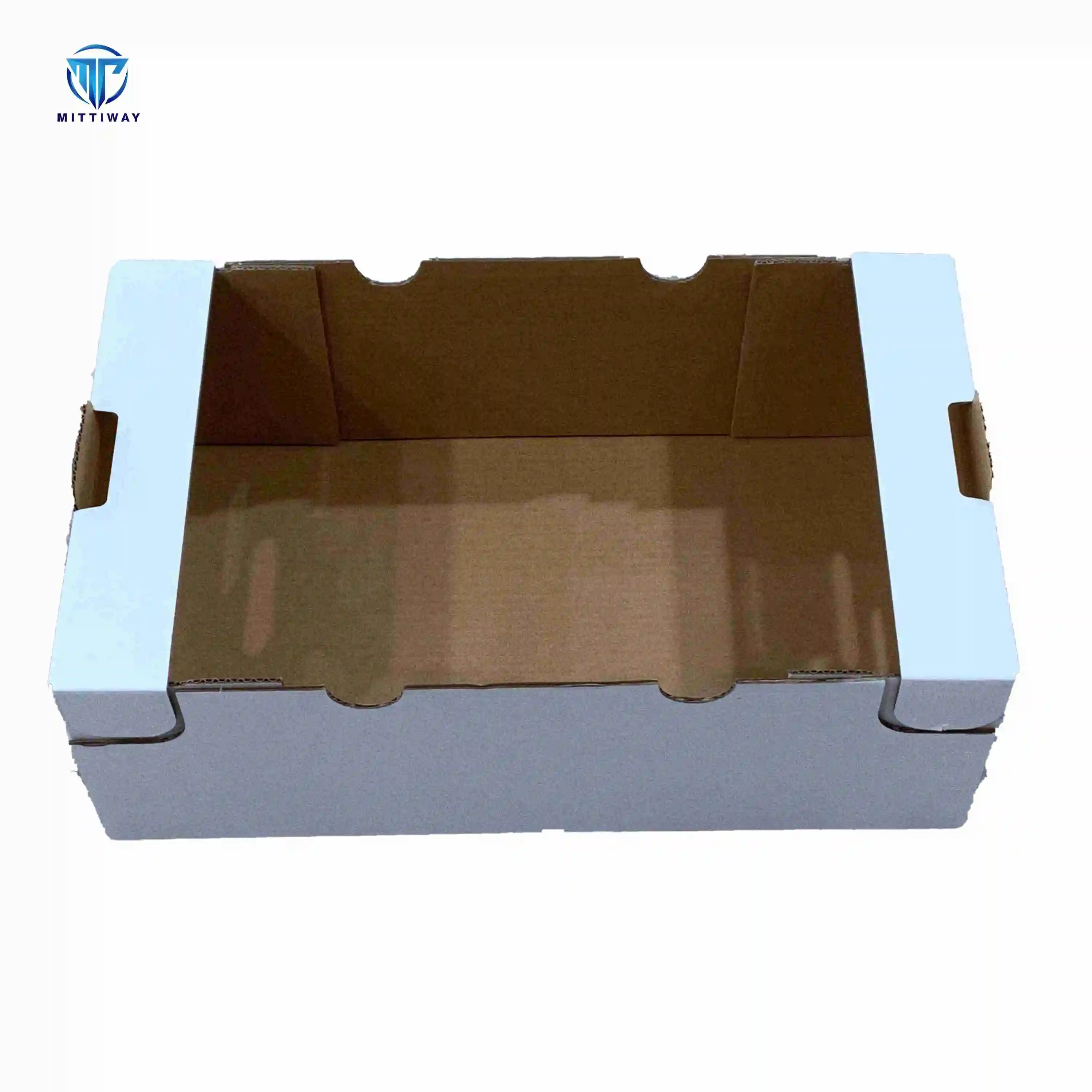 Tray Former for Case with Hotmelt