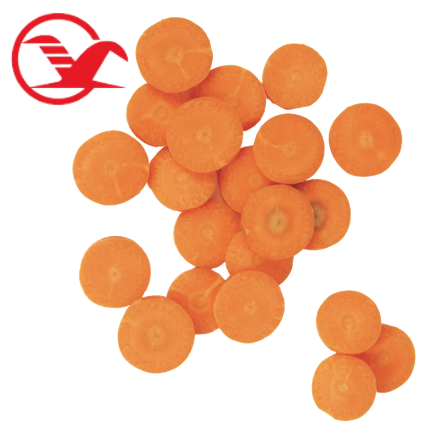 New Crop S M L 3L  Top Grade Low Price Fresh Carrots