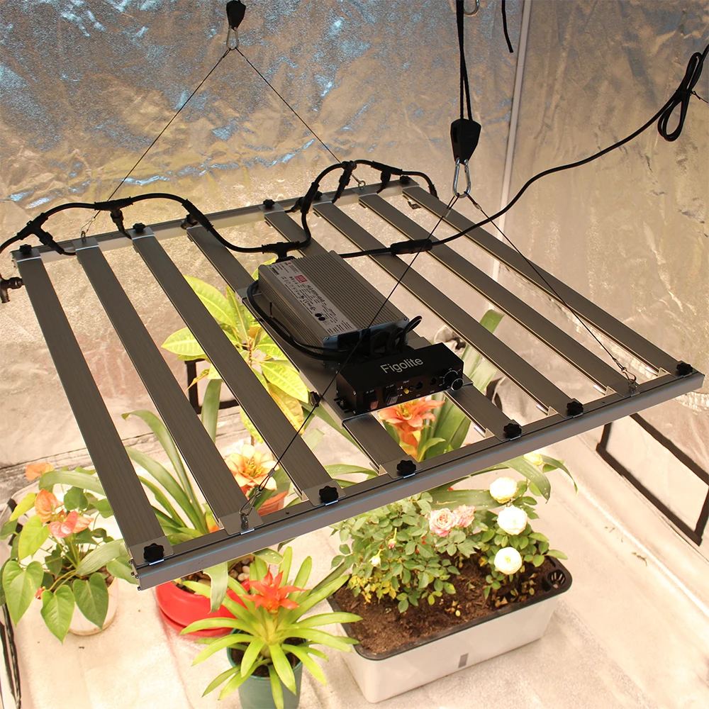 Figolite led grow light strip 2022 indoor plant growth lamp dimmable 600w lm301h evo
