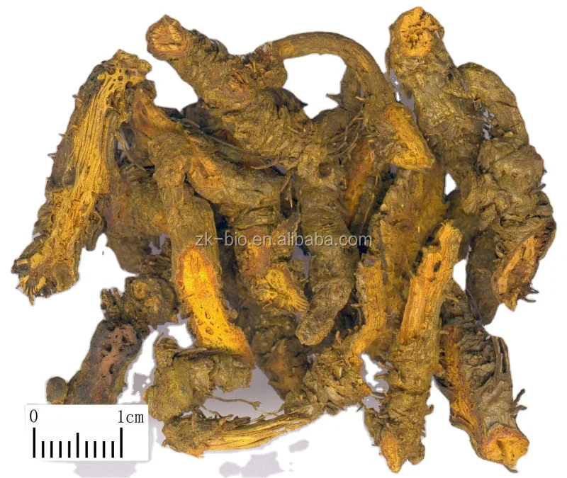 Chinese herb 98% Berberine HCL Coptis Chinensis Root Extract