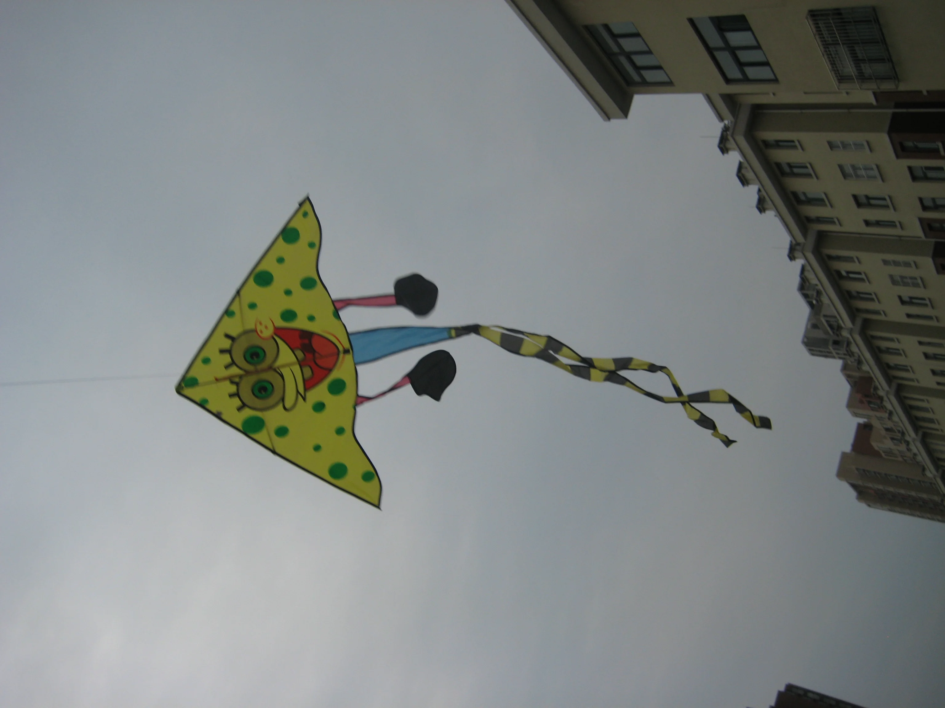 High Quality Cartoon Kite Customized Color For Fun