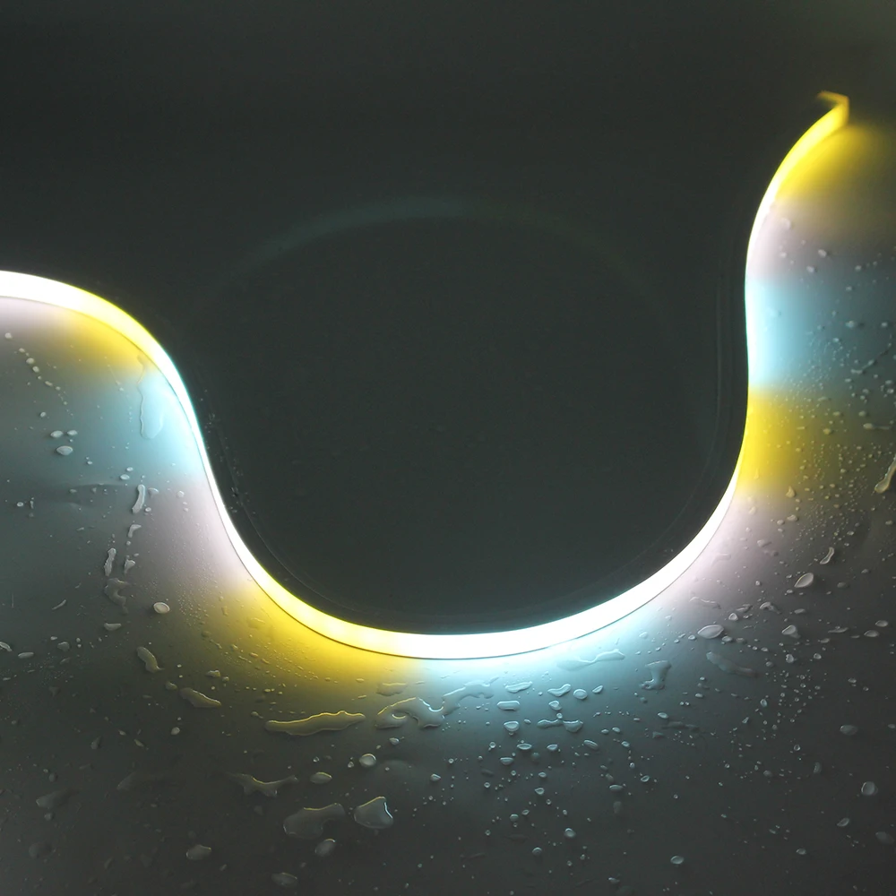 Customize Chasing Changing Star RGB RGBW RGBWW Brilliant Waterproof Silicone 24V LED Flexible Neon Strip Light for Theme Park