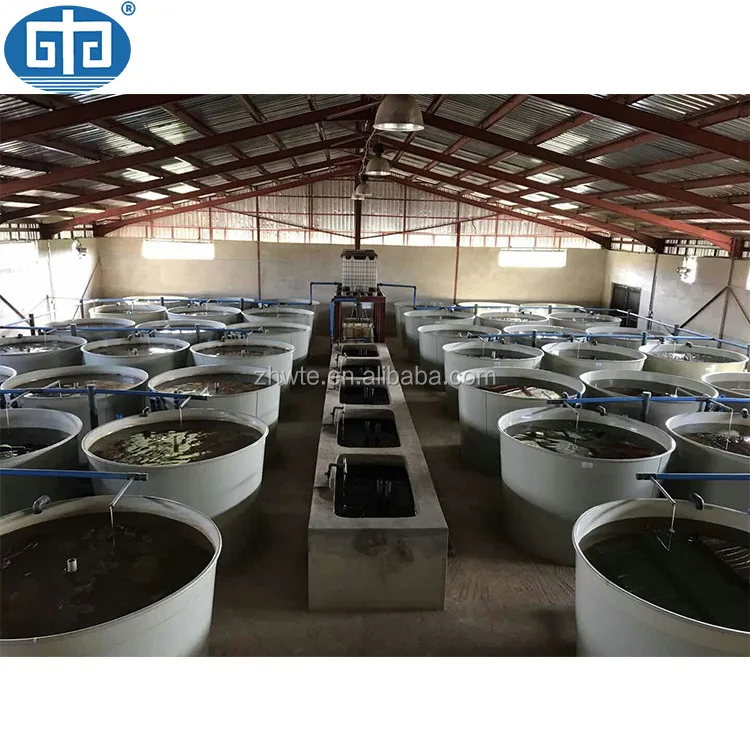 Prawn Farm System Us Farm Raised Tilapia,Tilapia Fish Hatchery Automated Fish Farm,Agricultural Equipment Fish Farm