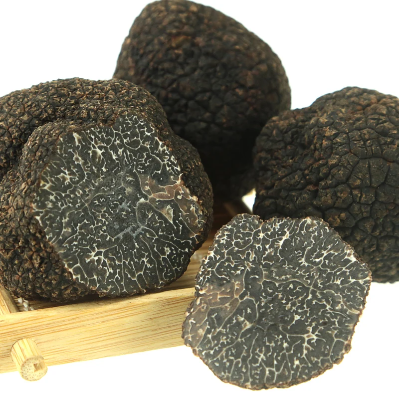 
Market price masroom fresh shitake truffle maitake grow Fungus mushroom 